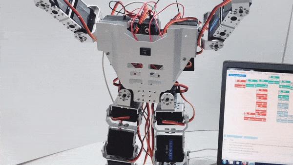 How-to: 17 DOF Humanoid Robot
